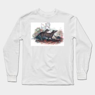 Tasmanian tiger extinct species Long Sleeve T-Shirt